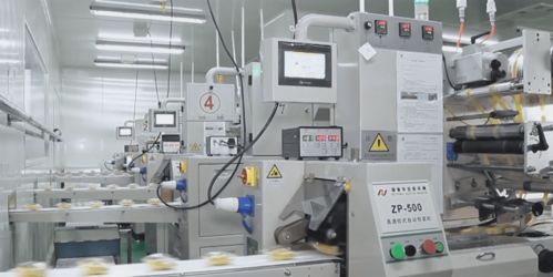 数字赋能 党企共融——友臣食品党支部以信息技术开发争创“五优”新篇章