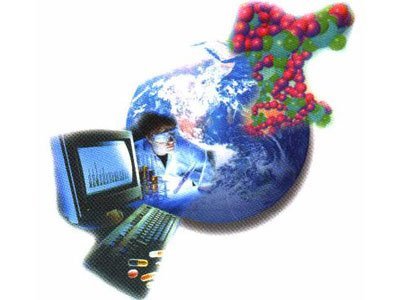 生命密码与数字洪流 生物技术与信息技术的深度融合与计算机开发新范式